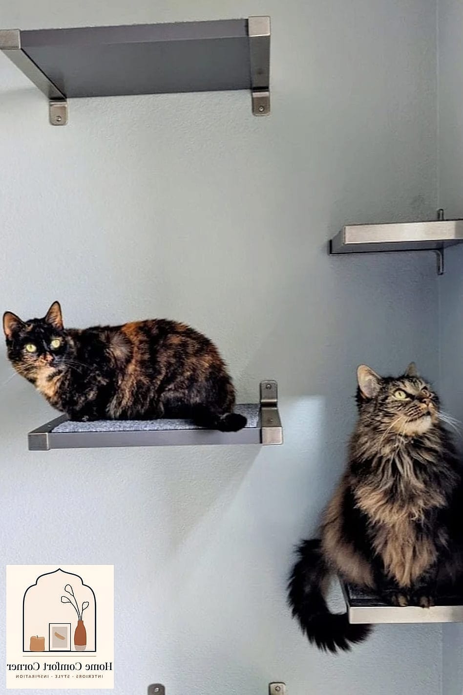 23 Stunning Cat Room Decor Ideas for Every Budget 2 Floating Cat Shelves Along the Wall