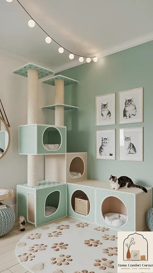 23 Stunning Cat Room Decor Ideas for Every Budget 19 Gallery Wall of Pet Photography