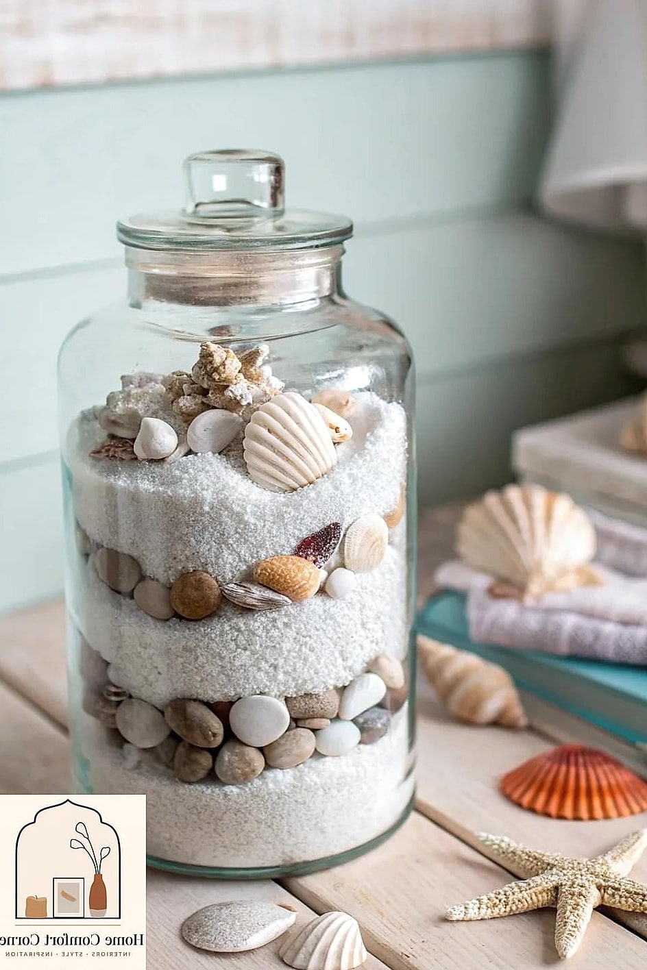 Glass Jar and Shell Displays
