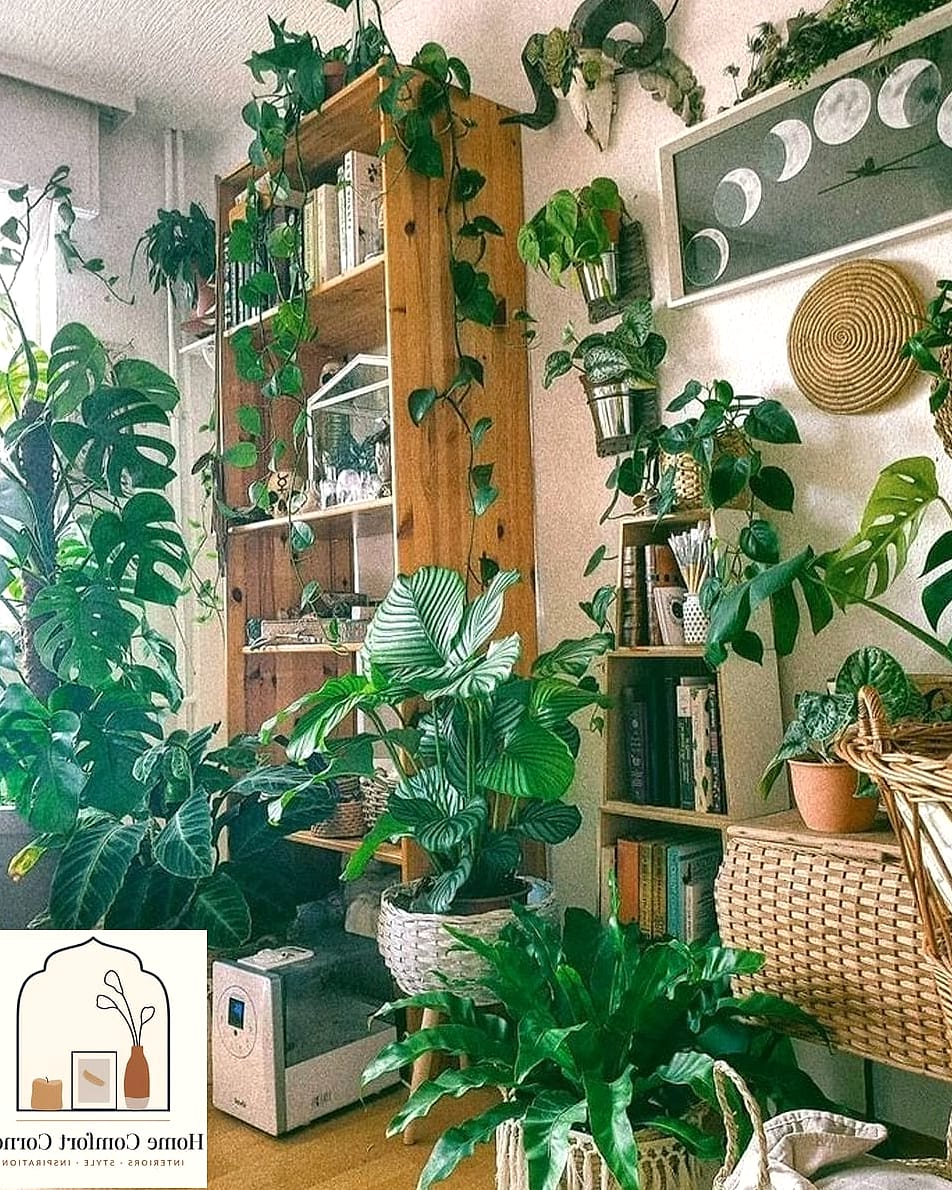 Greenery and Layered Plant Displays