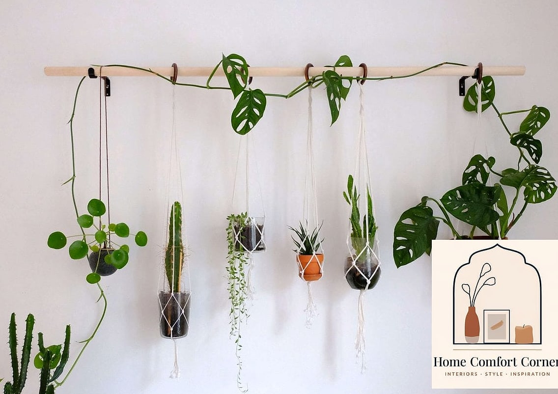 Hanging Plant Shelf Near a Window