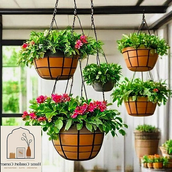 Hanging Planters for Trailing Greenery