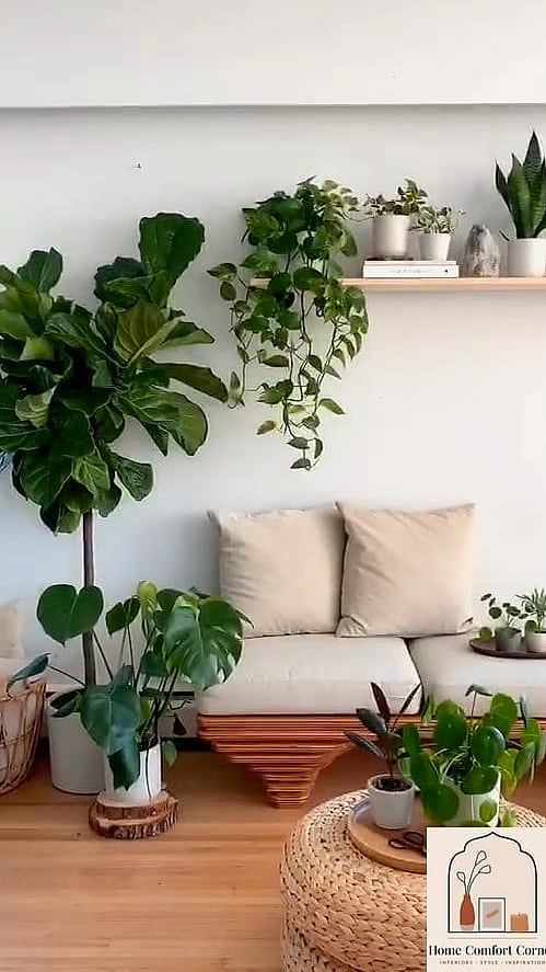 Indoor Plants in Simple Pots