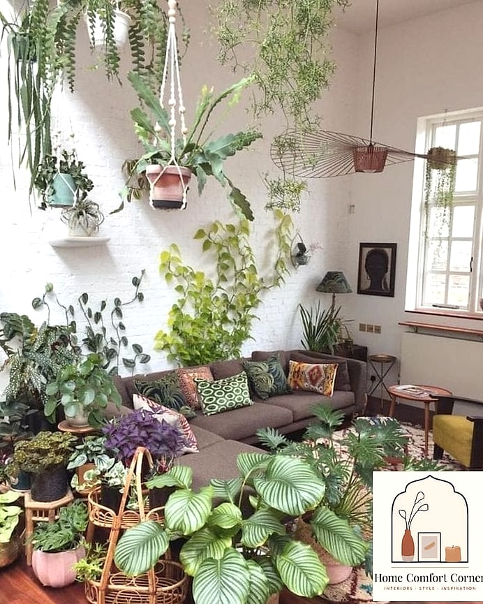 Plants at Different Heights