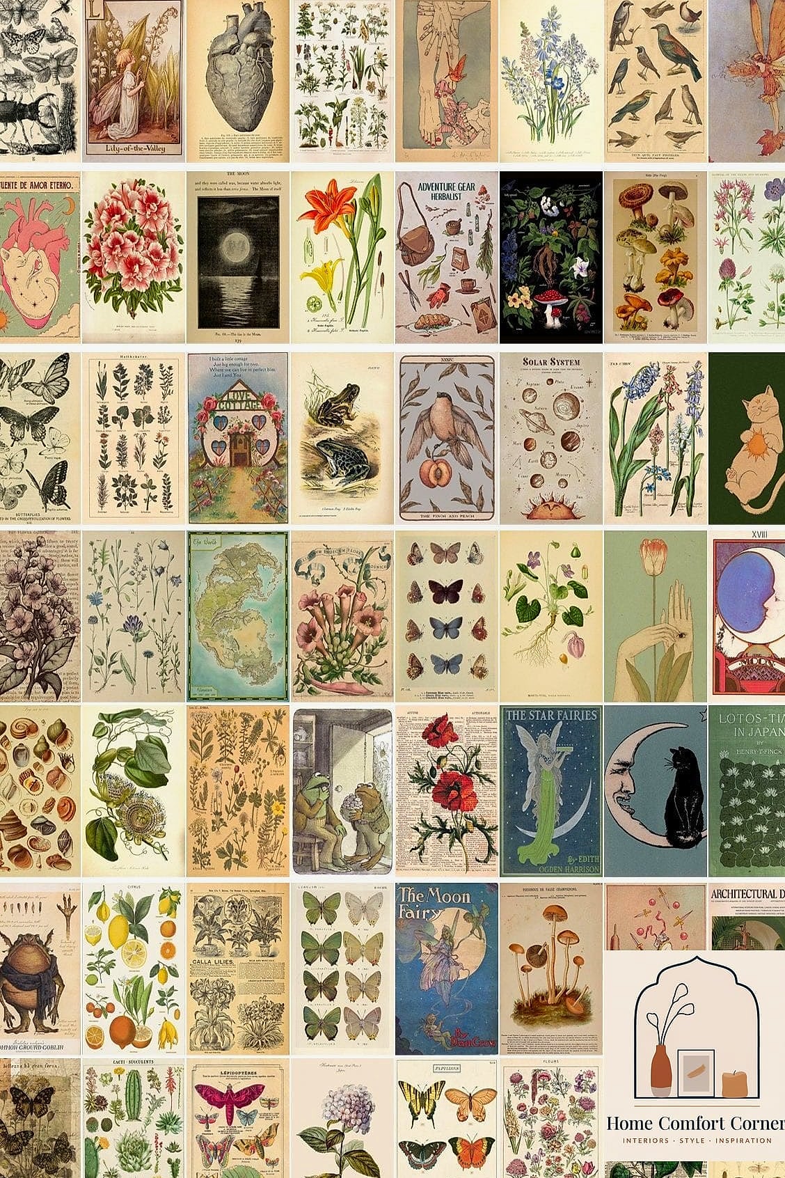 Vintage Botanical Diagrams in a Sunroom